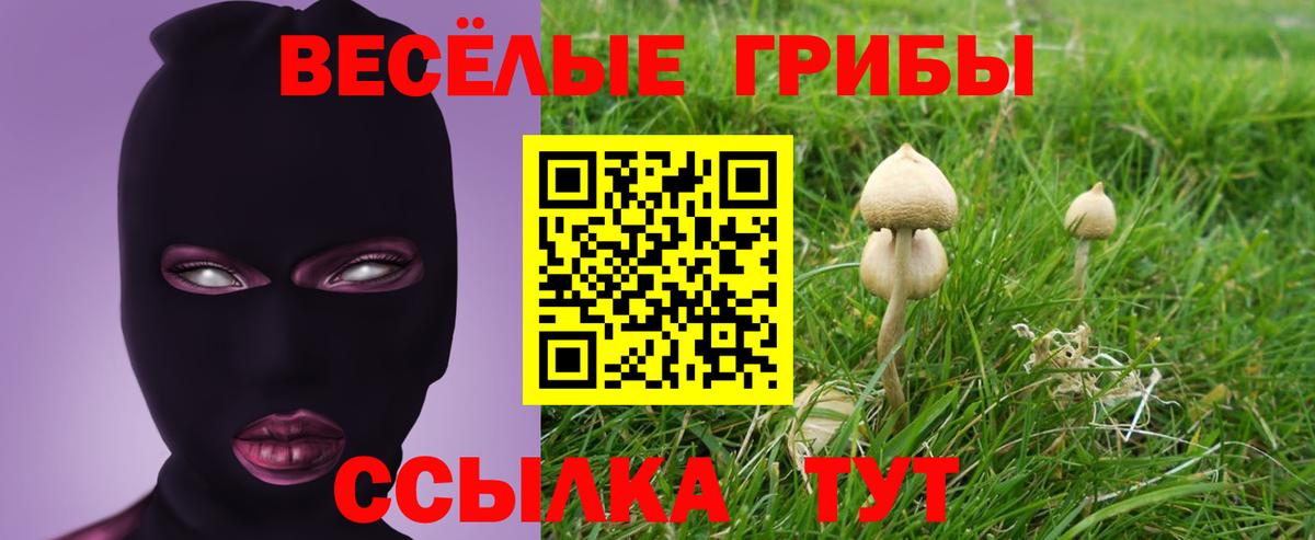Галлюциногенные грибы Psilocybe  Вход с VPN  Красный Сулин  где купить   Псилоцибиновые грибы Cubensis 